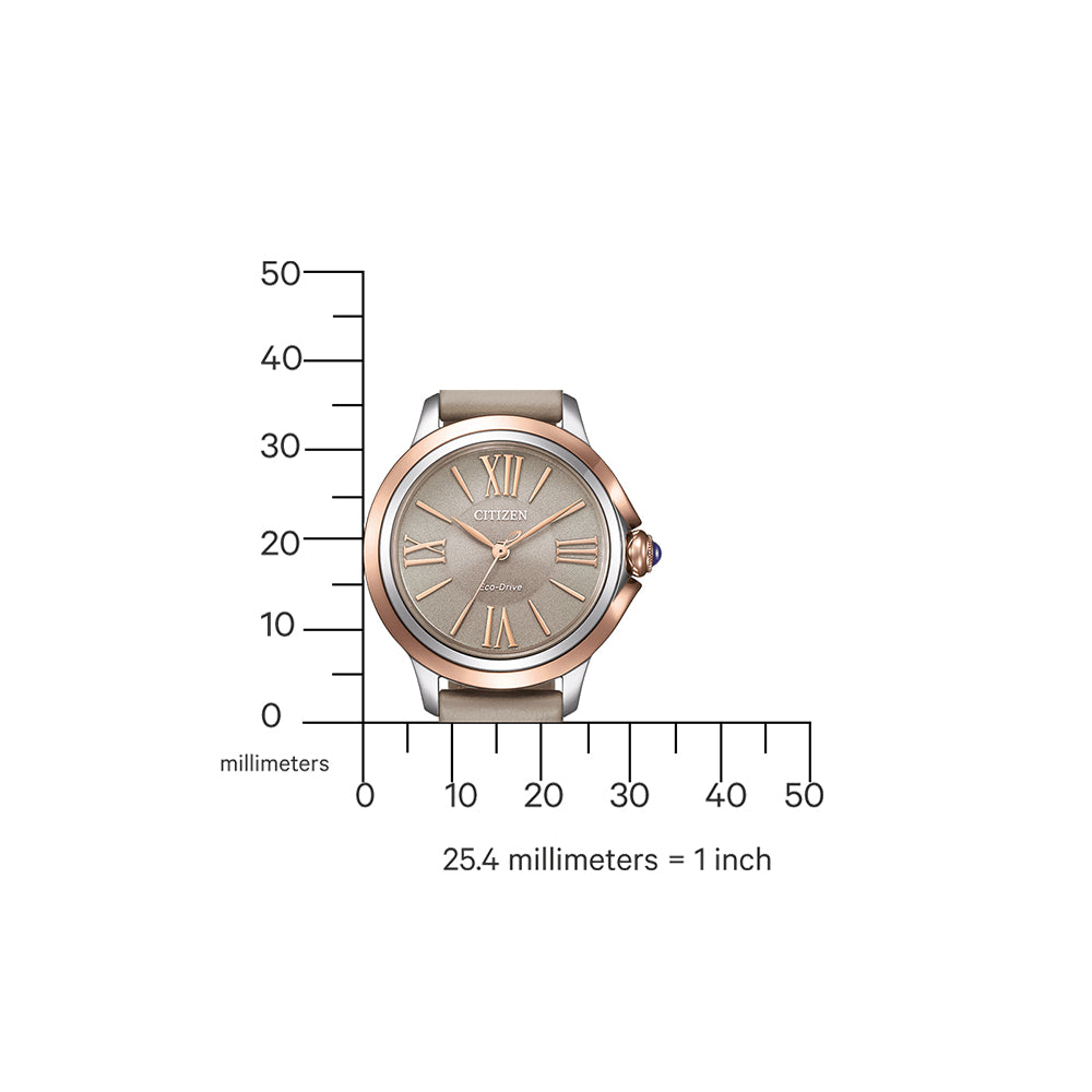 Citizen EM1166-01Z