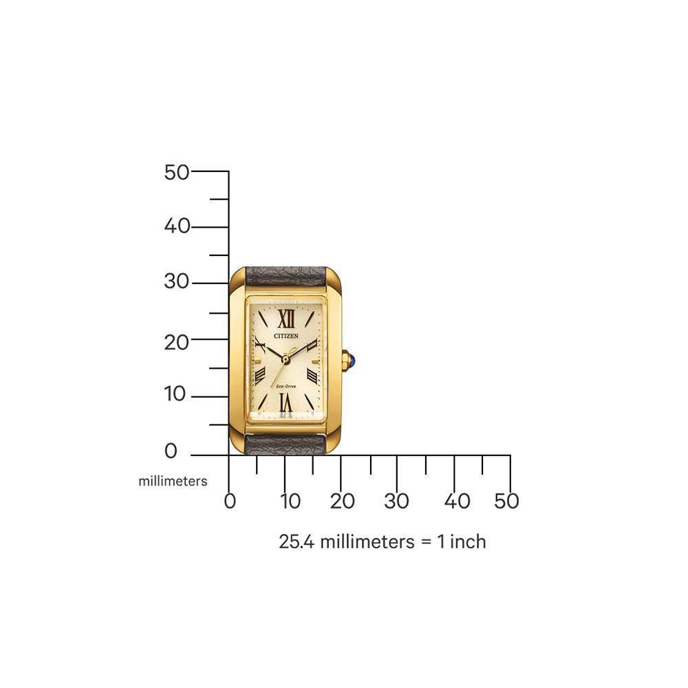 Citizen EW5622-09P