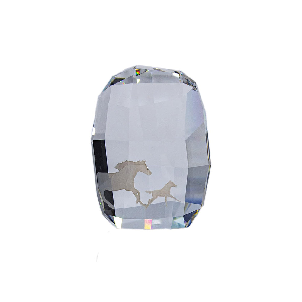 Swarovski Membership Gift 2014