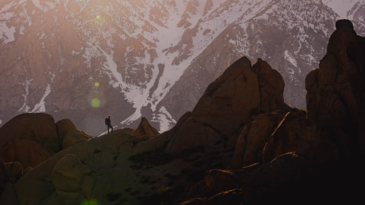 Hamilton Khaki Field – Die ikonische Field Watch für den Alltag