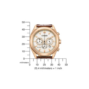 Citizen Herren Solar Chronograph Uhr CA4593-15A