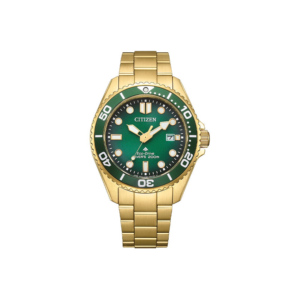 Citizen BN0262-59W