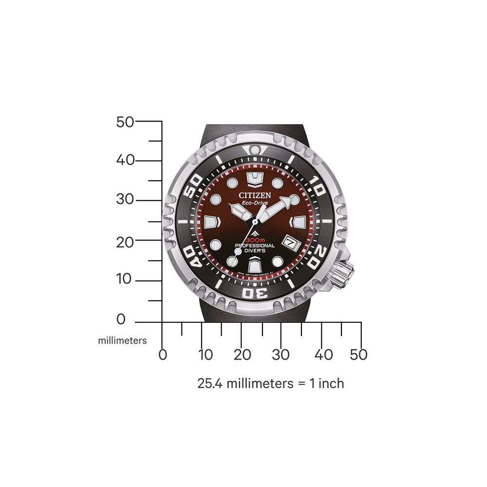 Citizen BN1024-01Z
