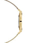 Daniel Wellington Petite Evergold