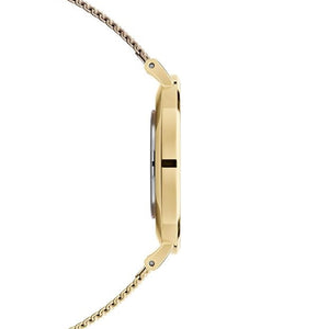 Daniel Wellington Petite Evergold