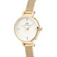 Daniel Wellington Petite Mini Evergold