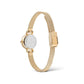 Daniel Wellington Petite Mini Evergold