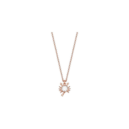 Esprit Halskette inklusive Anhänger Stahl Roségoldfarben 42 cm
Esprit Damen Ohrringe Creole Edelstahl jw50236 Rosé ESCO01965C000 

Esprit Damen Ohrringe Creole Edelstahl jw50236 Rosé