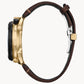 Citizen Chronograph Solar AV0072-01X Limitierte Serie