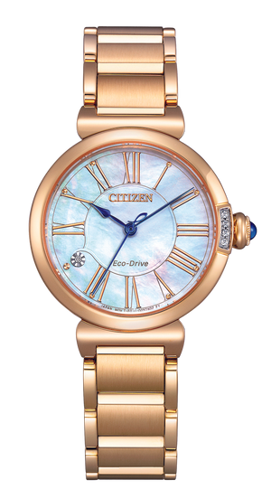 Citizen Damen Solar Uhr EM1063-89D